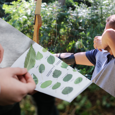 Challenge de biodiversité et tir à l'arc