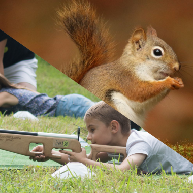 Mission écureuil et Biathlon lazer Vacances d'automne anjou sport nature