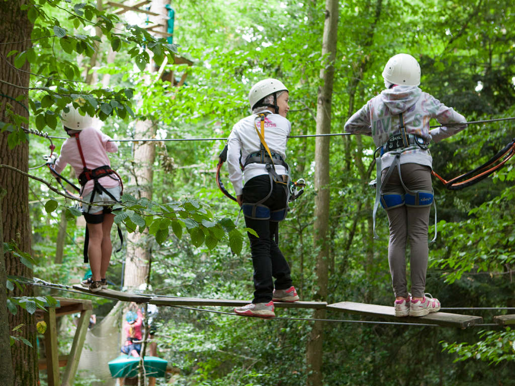 activité parcours accrobranche pour les enfants de 6 à 10 pendant le vacances d'août