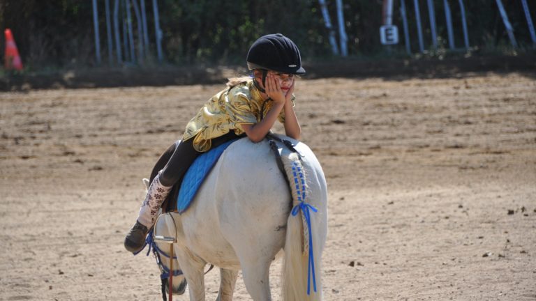 anjou sport nature equitation a la jaille yvon en groupe scolaire
