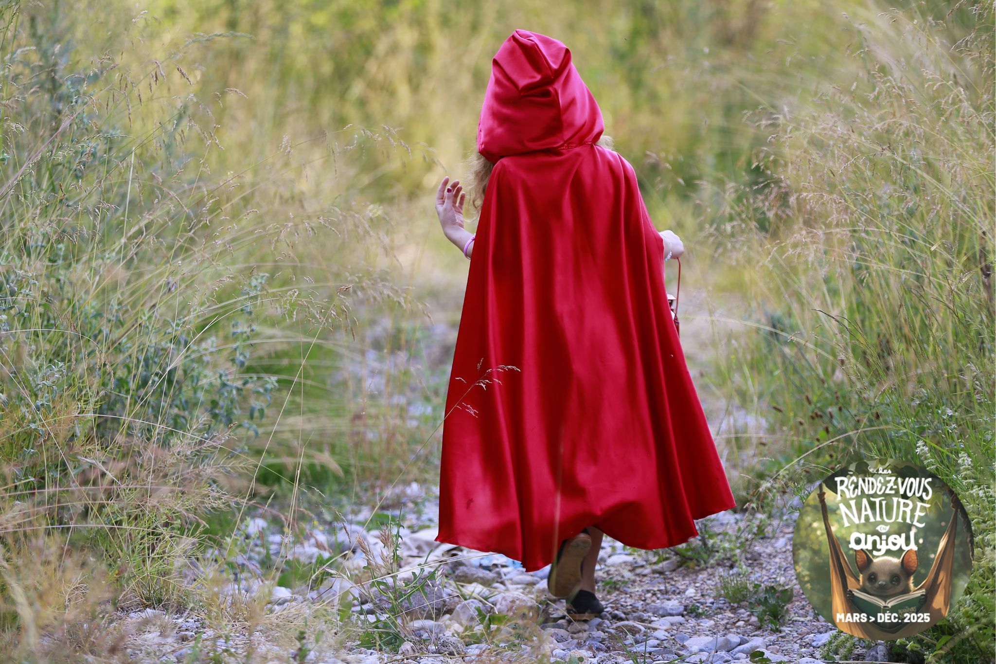 balade contée nature, randonnée féerique, contes et légendes en forêt, sortie famille immersive, découverte sensorielle plein air combrée