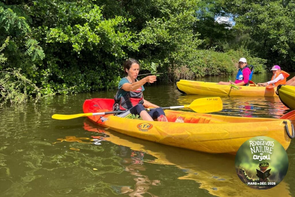 balades de plantes sauvages en kayak avec Nature et simples la jaille-yvon 49